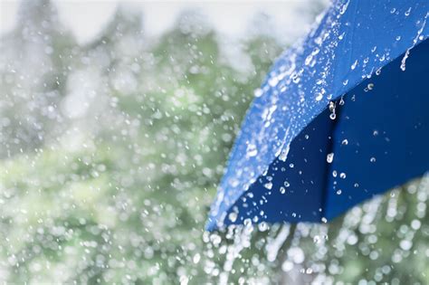 下雨天做什麼|如何改善下雨天心情？3個雨天習慣及必備物件，在狂風大雨下活。